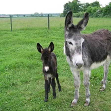住宿加早餐酒店 帕瑞赛斯庄园住宿加早餐旅馆