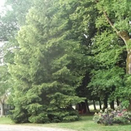 帕瑞赛斯庄园住宿加早餐旅馆 Gennetines